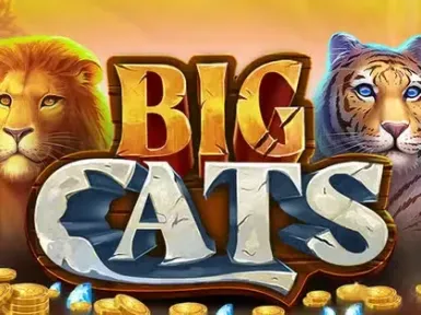 Casino Olbia screenshot